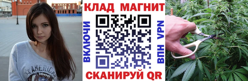 Купить закладку Бошки Шишки  Псилоцибиновые грибы  Кокаин  Гашиш  Мефедрон  Зверево