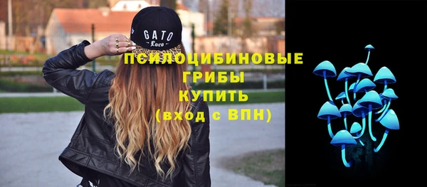 винт Зеленокумск